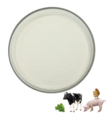 کتوں کے لیے Betaine