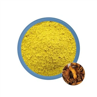 بربیرین پاؤڈر